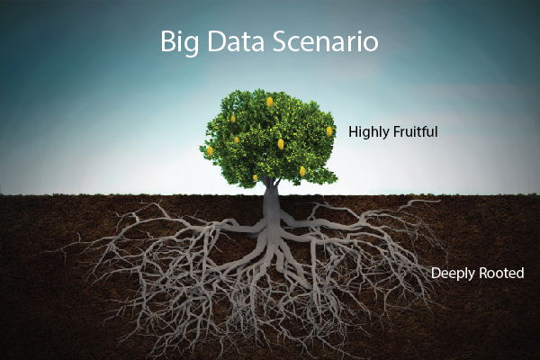 Data Science Services