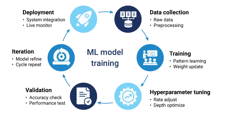 ML model training lifecycle