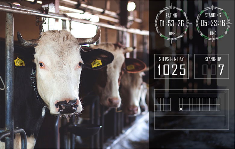 Livestock Monitoring With IoT And Data