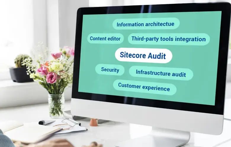 Sitecore Audit