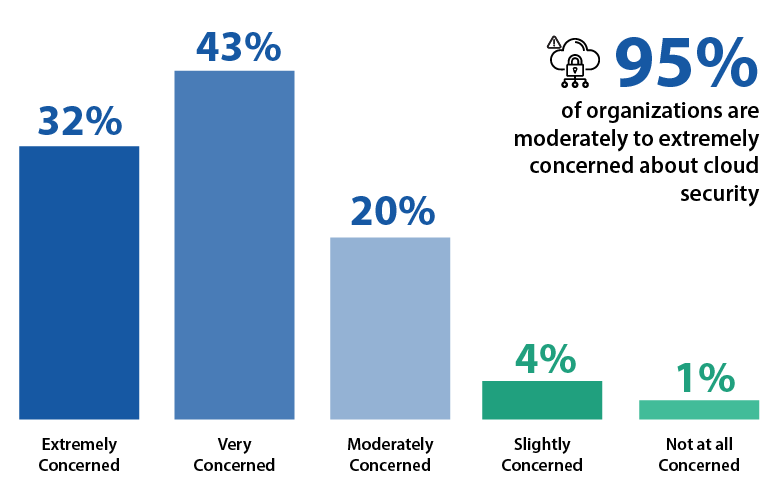organizations concerned for Cloud security