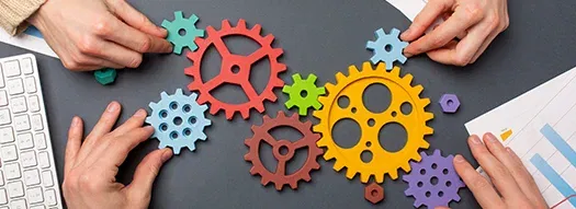 Customization