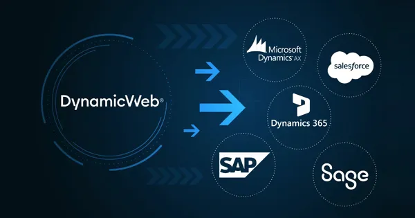 dynamicweb-consulting-dynamic-web-integration