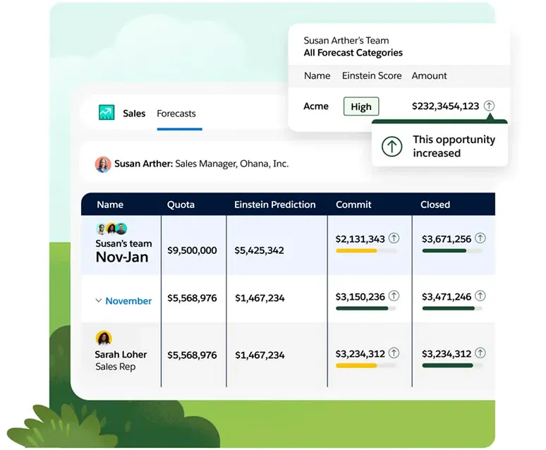 salesforce forecast management