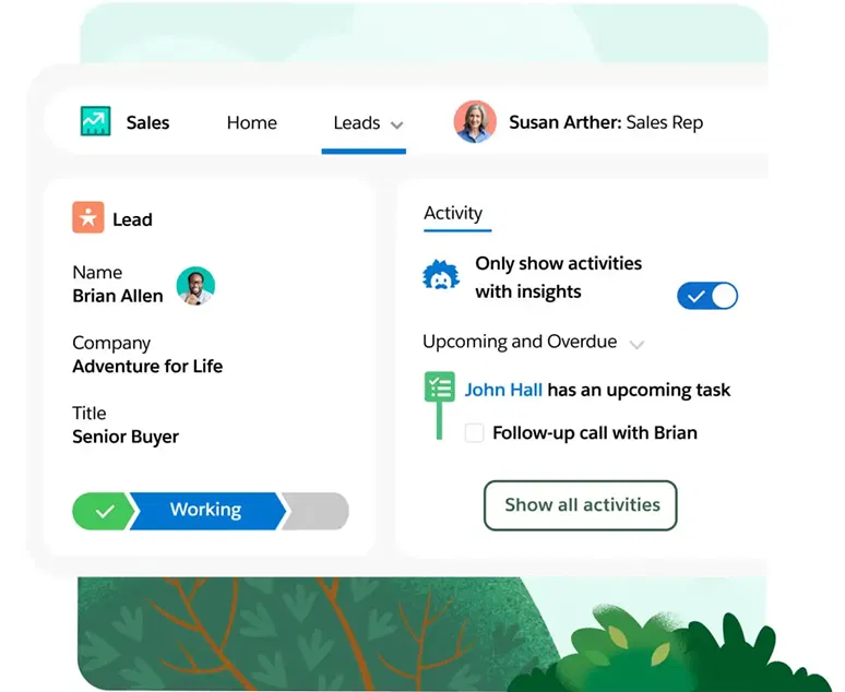 salesforce lead management