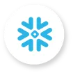 Snowflakes Icon