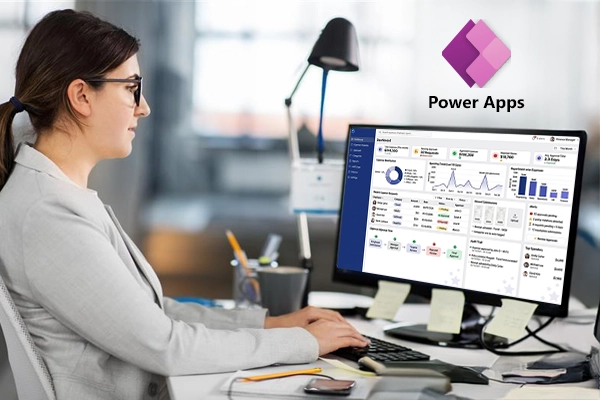 custom Power Apps development